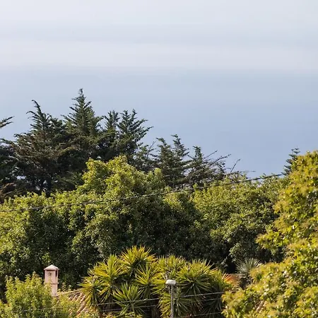 Maison Mialon: Amidst Of Nature