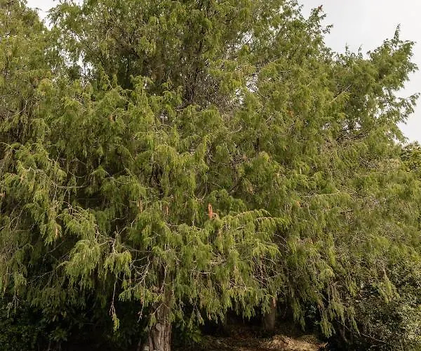 Maison Mialon: Amidst Of Nature