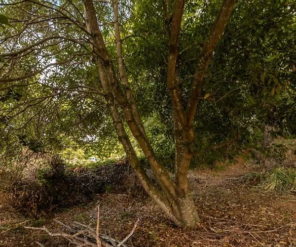 Maison Mialon: Amidst Of Nature Alpesi faház