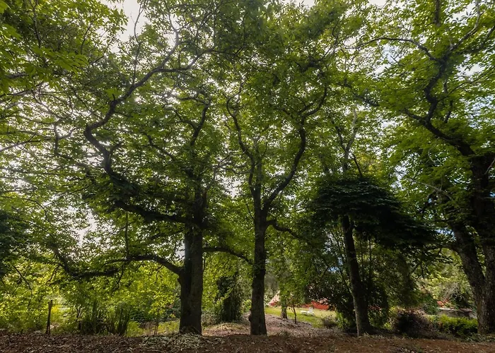 Maison Mialon: Amidst Of Nature *