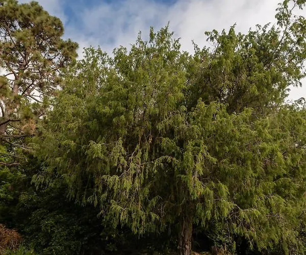 Alpesi faház Maison Mialon: Amidst Of Nature *