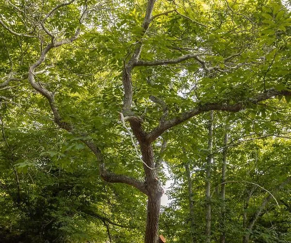 Maison Mialon: Amidst Of Nature * La Esperanza