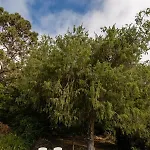 木屋 Maison Mialon: Amidst Of Nature *